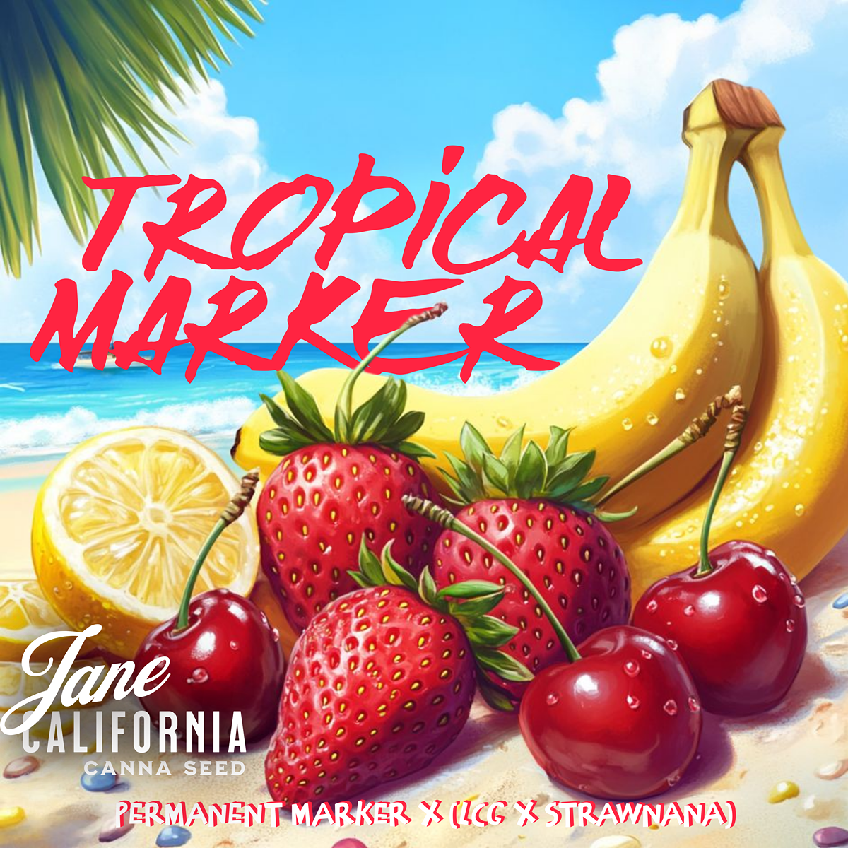 Tropical Marker Cannabis Flower | Jane California