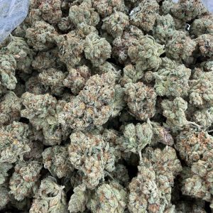 Kosher Kush grower-grade flower macro showing tight calyx, trichome coverage, and orange pistil structure
